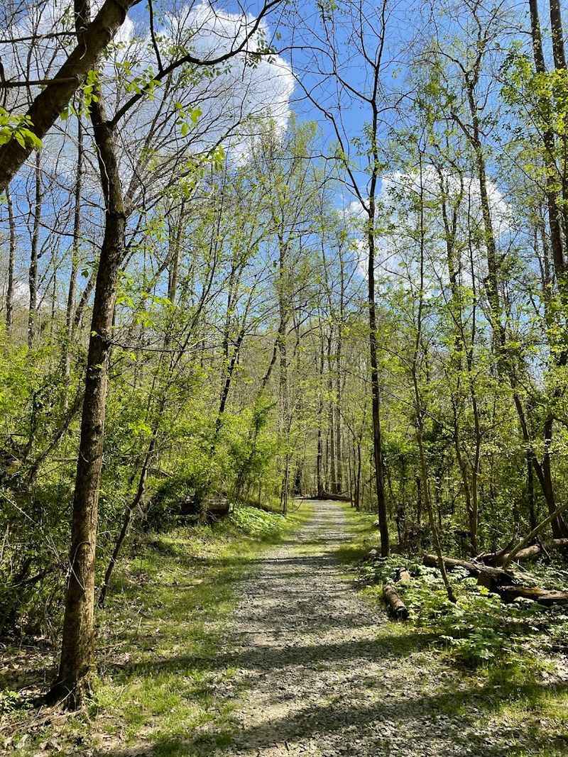 Miles of Trails Lead You to the Cave