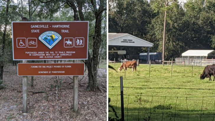 A 16-mile bike trail in Florida follows an old railroad past a prairie where wild horses and bison roam
