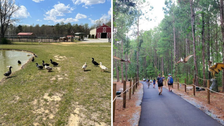 A 300-Acre North Carolina Ranch Mixes Farm Animals, Dinosaurs, and Wide-Open Adventure