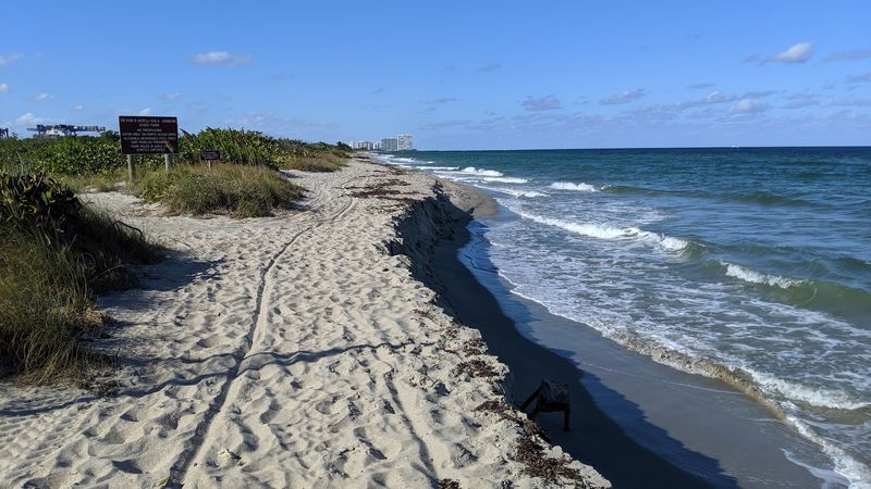 A Barrier Island Park With One of Broward County's Last Natural Shorelines