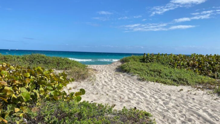 A 310-Acre State Park in South Florida Has Sea Turtles, Manatees, and a History That Changed the County Forever