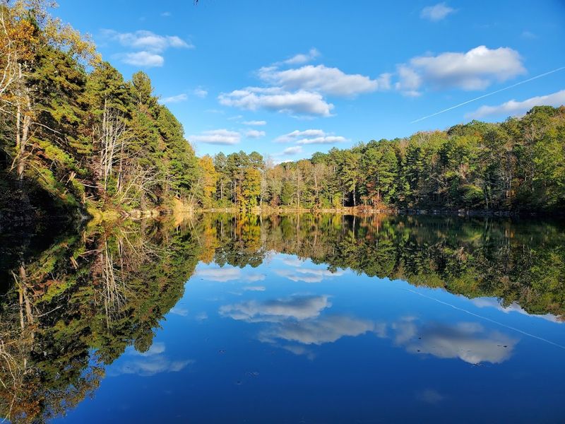 A Wild River Valley Preserved in the Heart of the Triangle