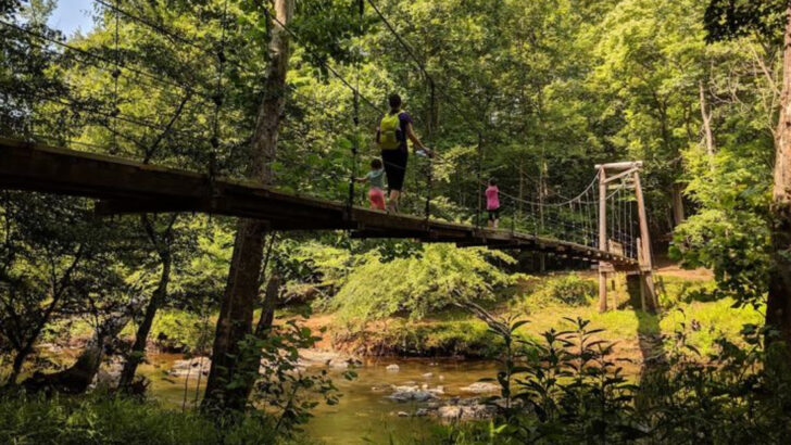 A 4,200-Acre State Park in North Carolina Follows an Ancient River Through Breathtaking Wilderness