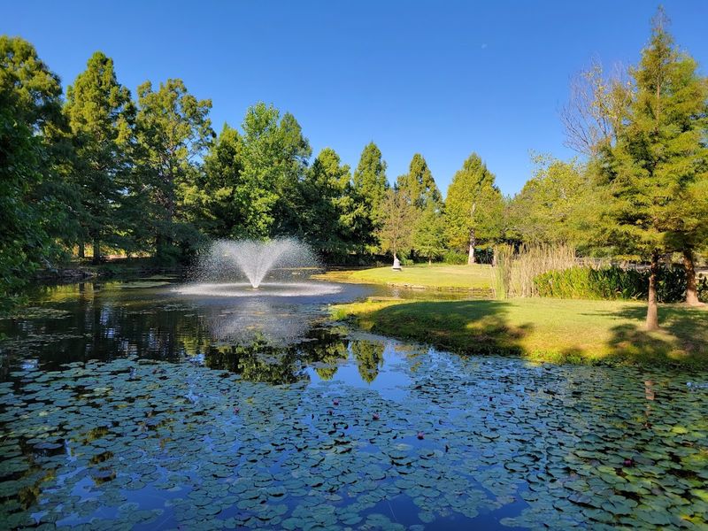 A Hidden Botanical Oasis in North Texas