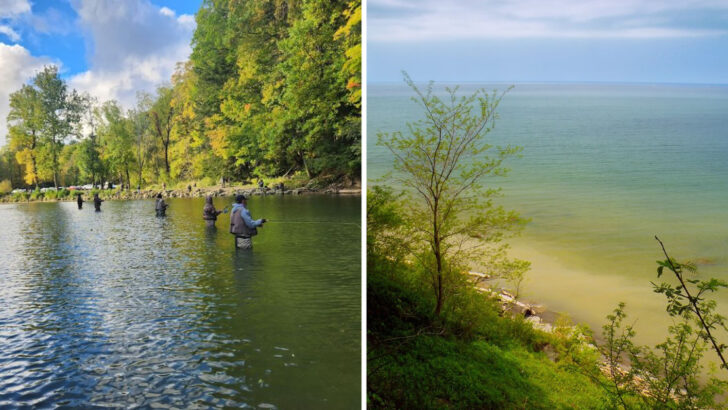 A 587-Acre State Park Along Lake Erie in Pennsylvania Still Looks the Way Nature Intended