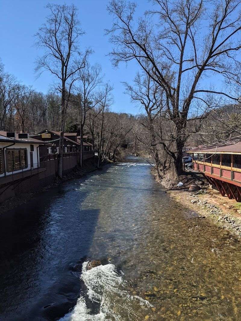 The Scenic Chattahoochee River Setting