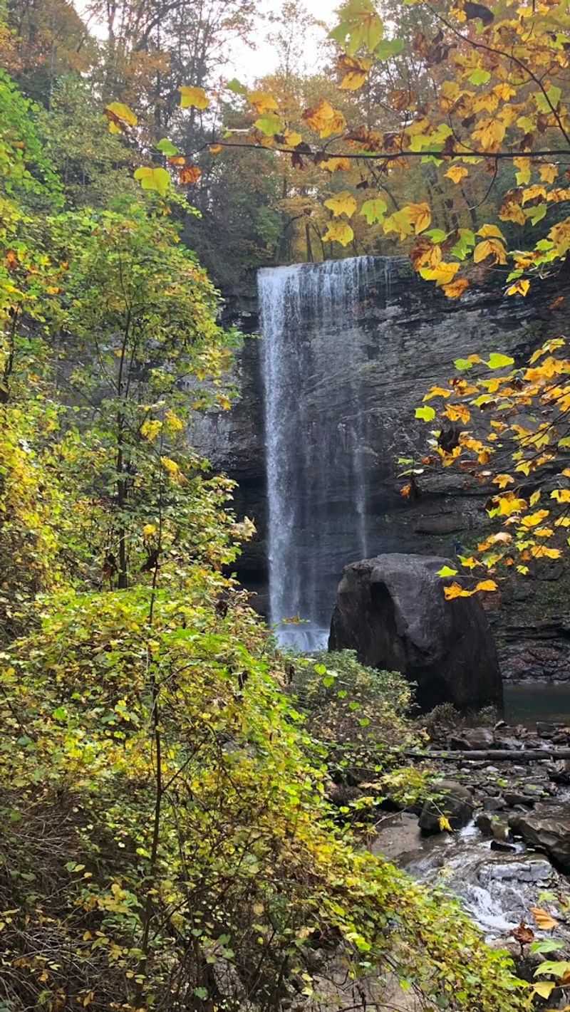 The Waterfalls Trail: The Park's Signature Hike