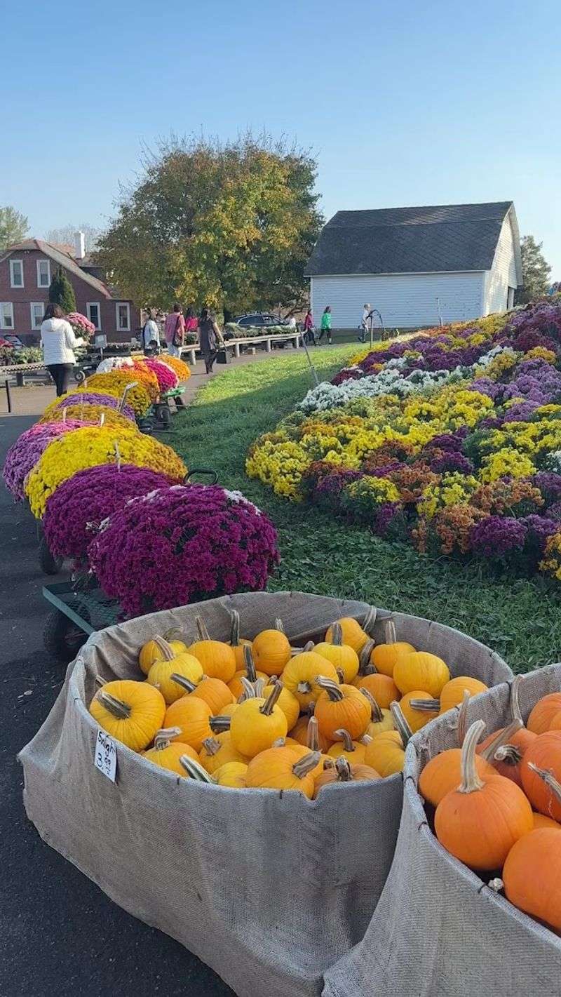 Seasonal Displays Beyond the Flower Mountain