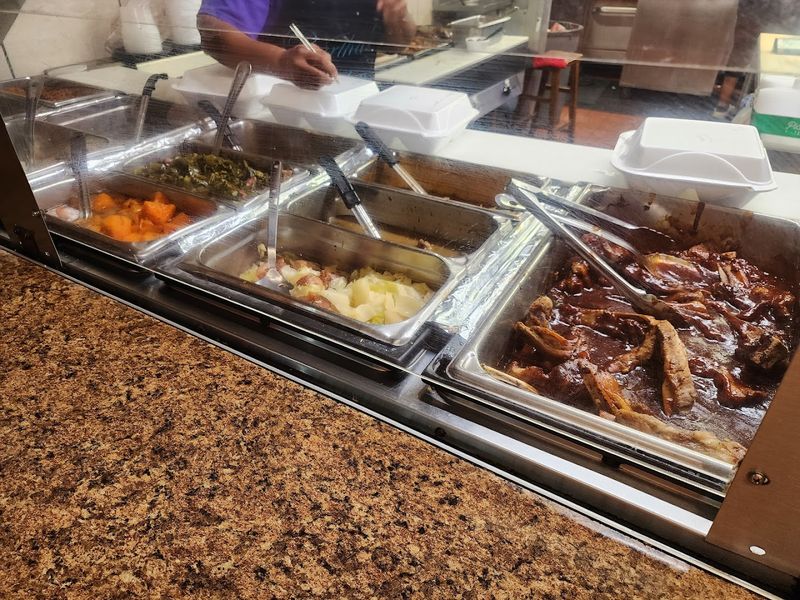 Essential Visitor Tips Before You Go