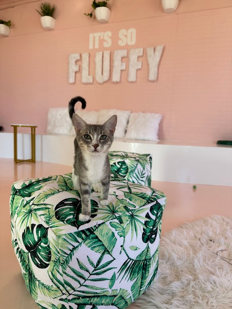 A Mission That Goes Beyond Coffee