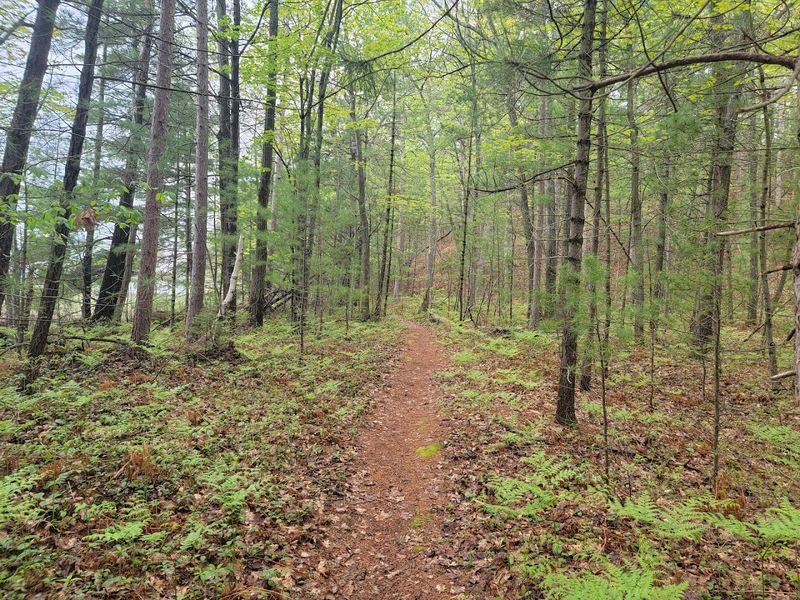 Surrounded by State Forests and Public Land