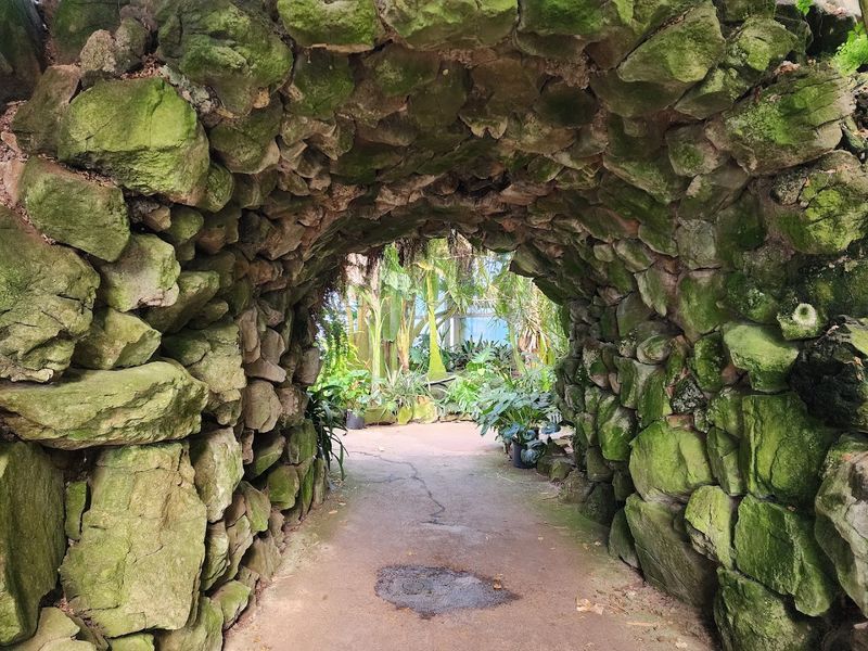 Winding Paths, Stairs, and a Hidden Tunnel