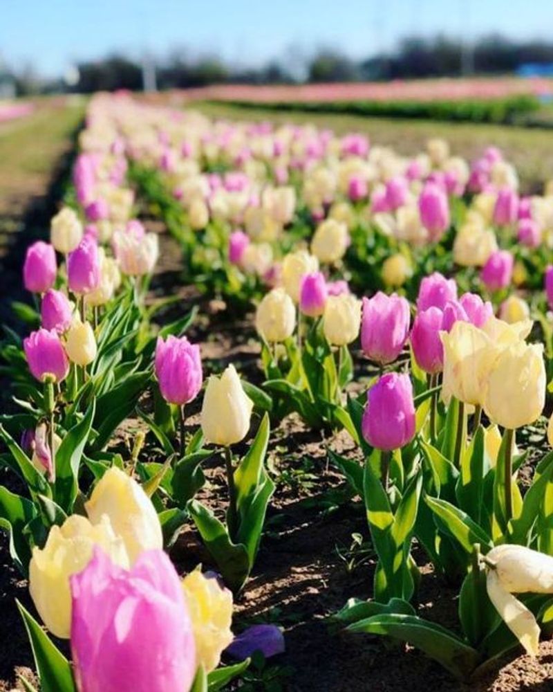 Tips for Getting the Most Out of Your Visit