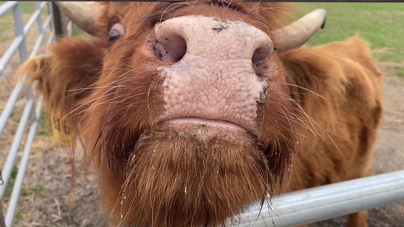 What to Expect on the Farm Tour