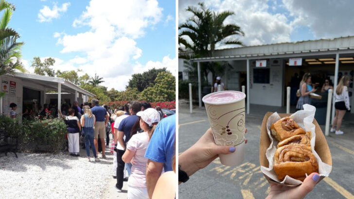 A Family-Run Farm in Florida Is Famous for Its Fresh-Baked Cinnamon Rolls