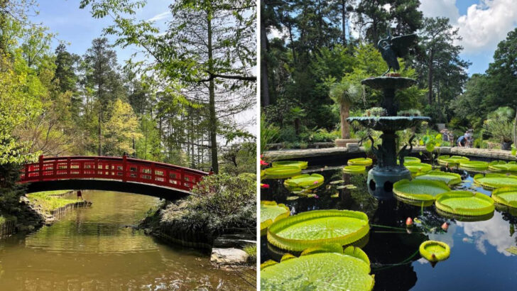 A Free Garden on a North Carolina Campus Has a Japanese Landscape You Have to See