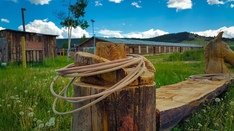 Essential Visitor Information for Planning Your Trip