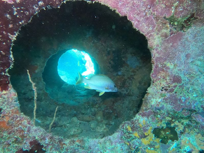 Birth of a Beauty: Mandalay's Early Life