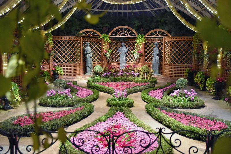 Fourteen Glasshouse Rooms Filled with Exotic Plants