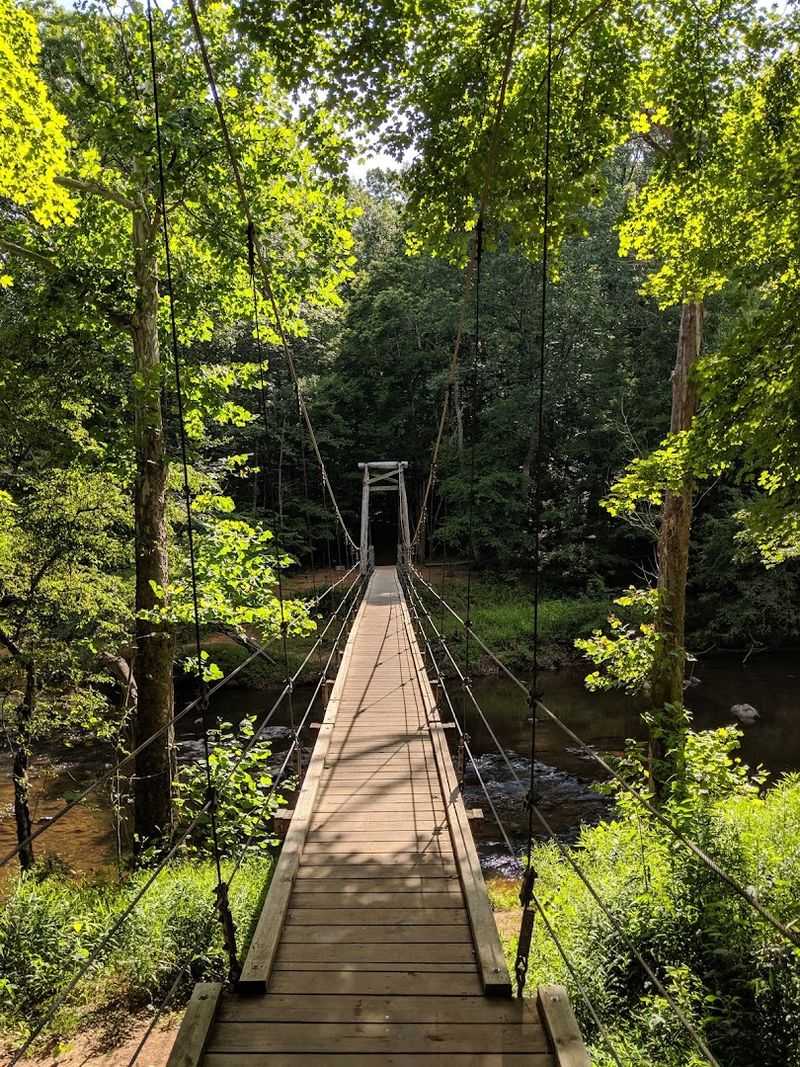 Scenic Trails That Follow the River's Edge