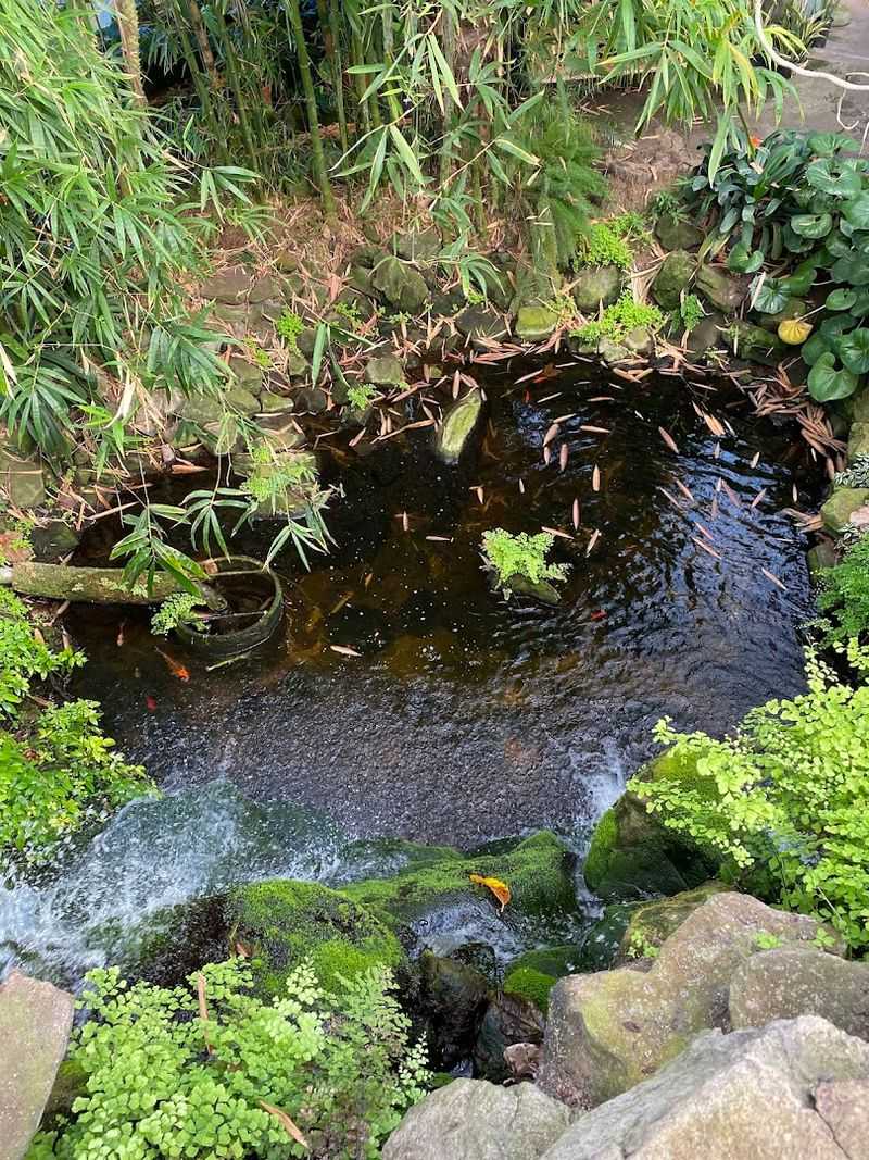 Waterfalls, Koi Ponds, and Lush Indoor Gardens
