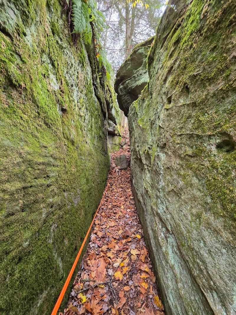 Preserved by the Community