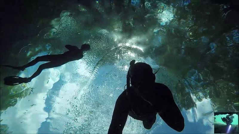 Snorkeling Reveals an Entire Underwater World