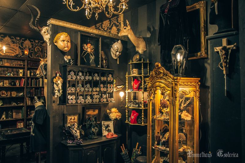 A Shop That Feels Like a Museum of the Macabre