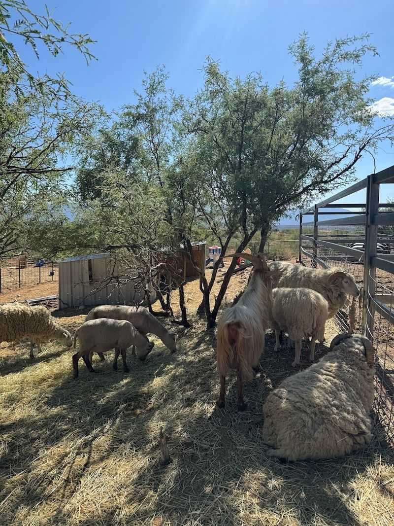 A Truly Family-Run Ranch Experience