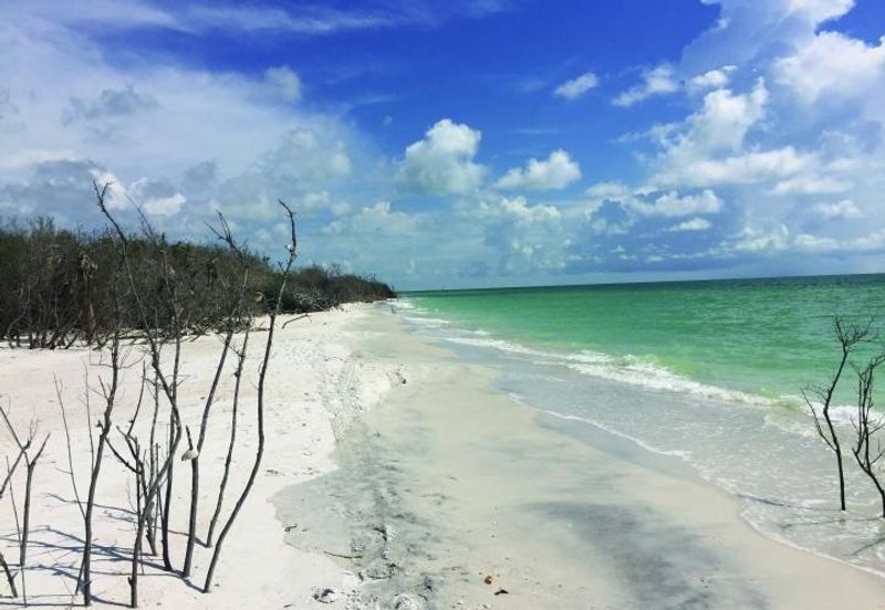 Consistently Ranked Among America's Best Beaches