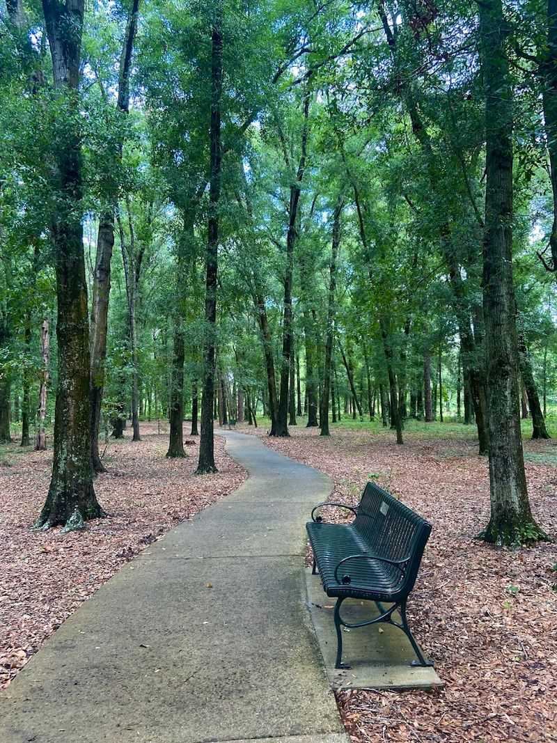 What Is Sholom Park?