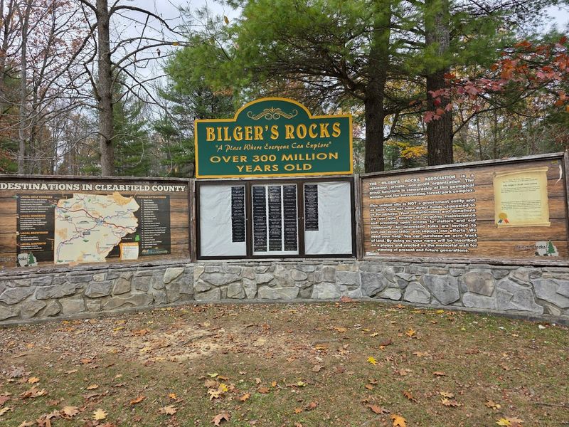 Formed Over 300 Million Years Ago