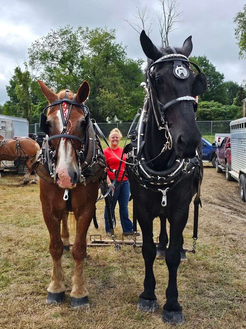 The Beloved Horse Show That Kicks Off the Action