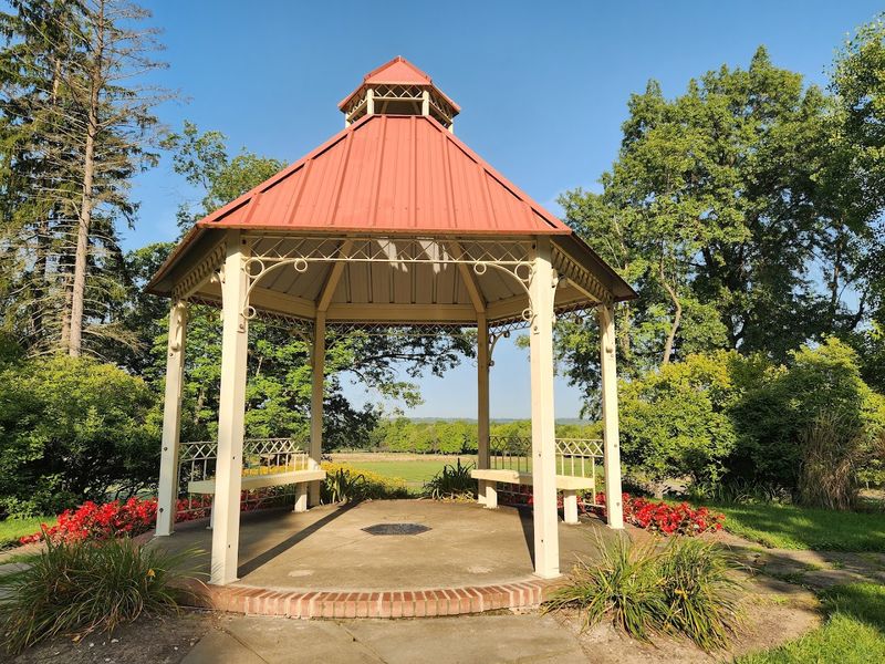 Who Was Frank H. Buhl?