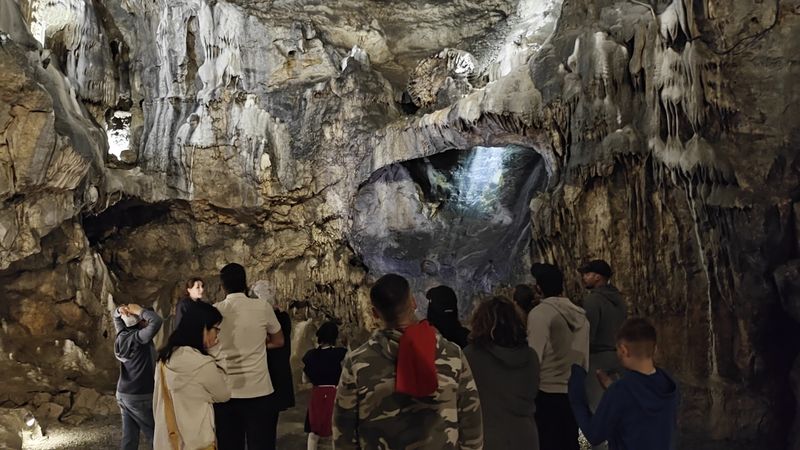 Wildlife and the Underground Ecosystem