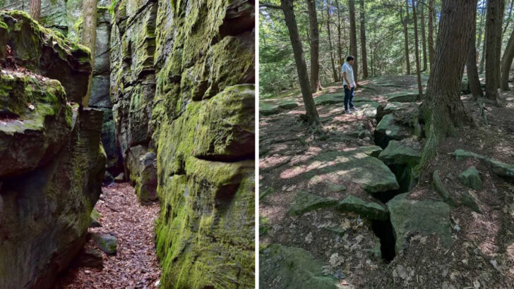 A Massive Natural Stone Labyrinth in Pennsylvania Has Been Sitting in the Woods for 300 Million Years