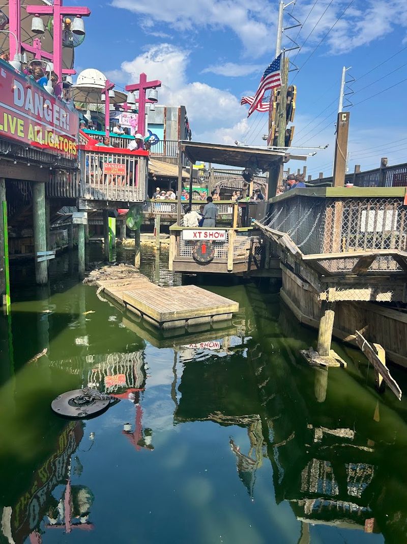 Entertainment, Games, and Family Fun