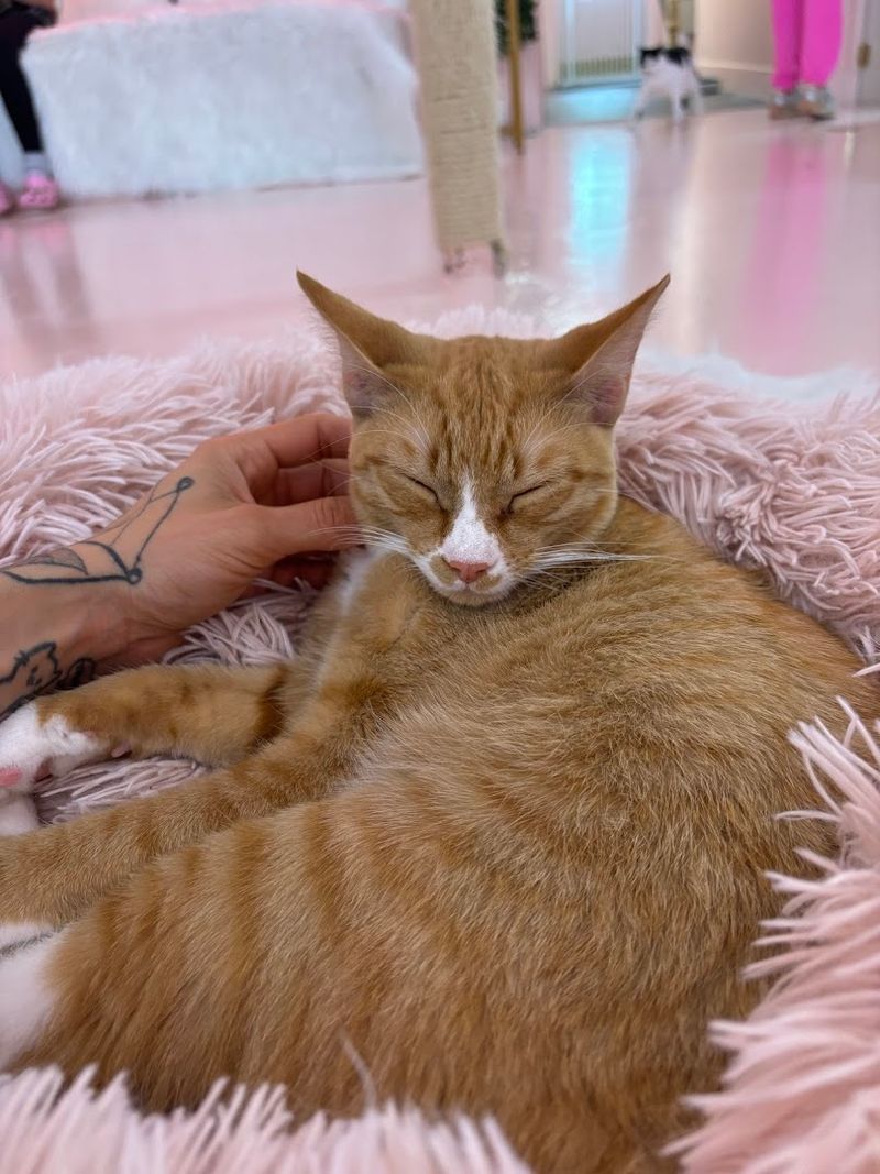 Why It's So Hard to Leave