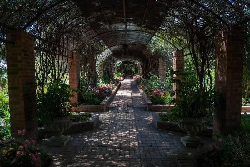 The Historic Tree Trail