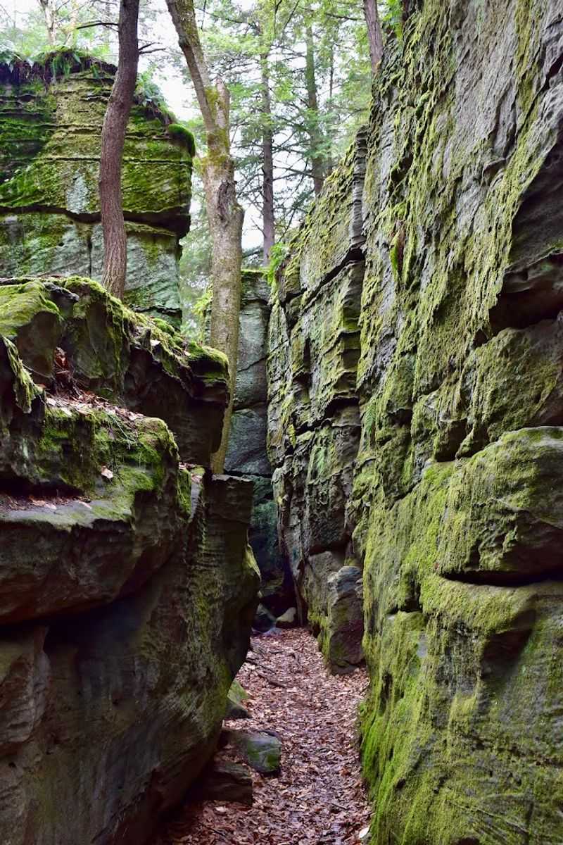 The Science Behind the Splitting Rocks