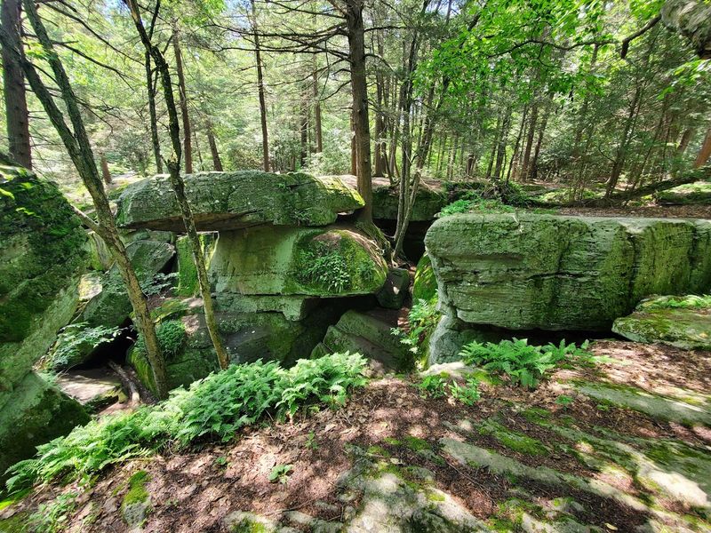 Ancient Sandstone Formed Over 300 Million Years Ago