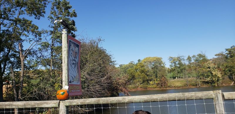 Beyond the Safari: Walking Exhibits Worth the Stroll