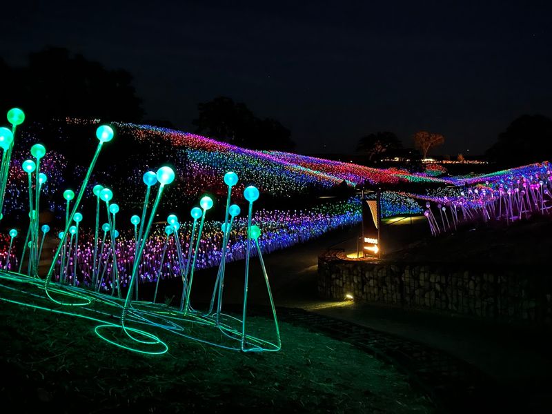 Practical Tips for First-Time Visitors