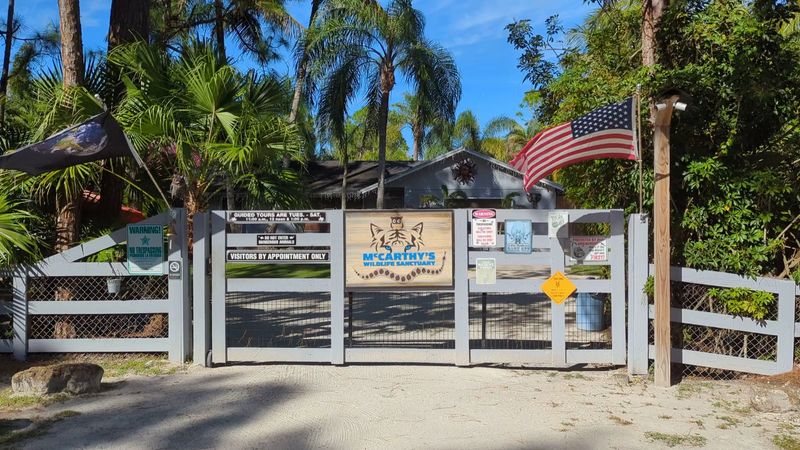 How to Visit McCarthy's Wildlife Sanctuary