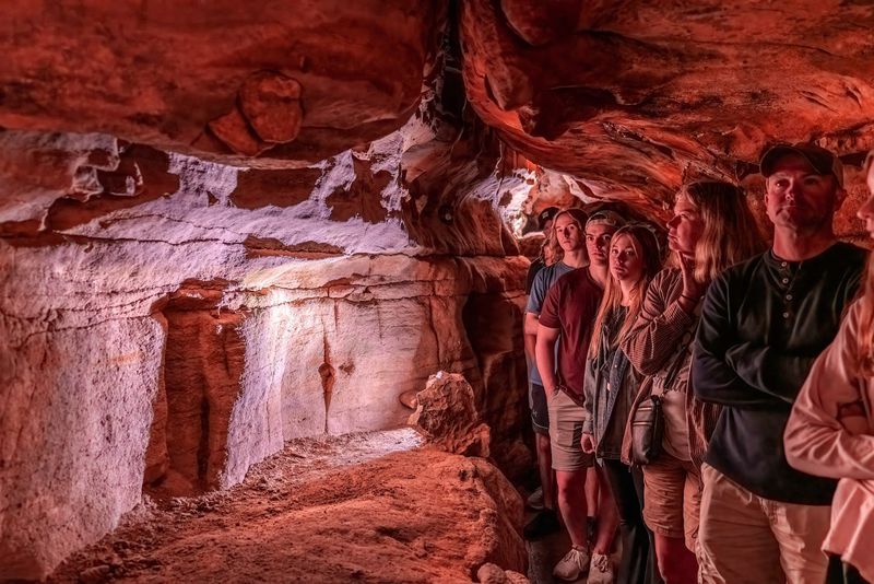 Knowledgeable and Entertaining Tour Guides Who Make It Fun