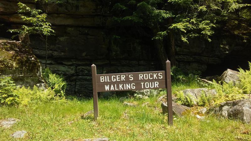 Scenic Woodland Surroundings of the Pennsylvania Wilds