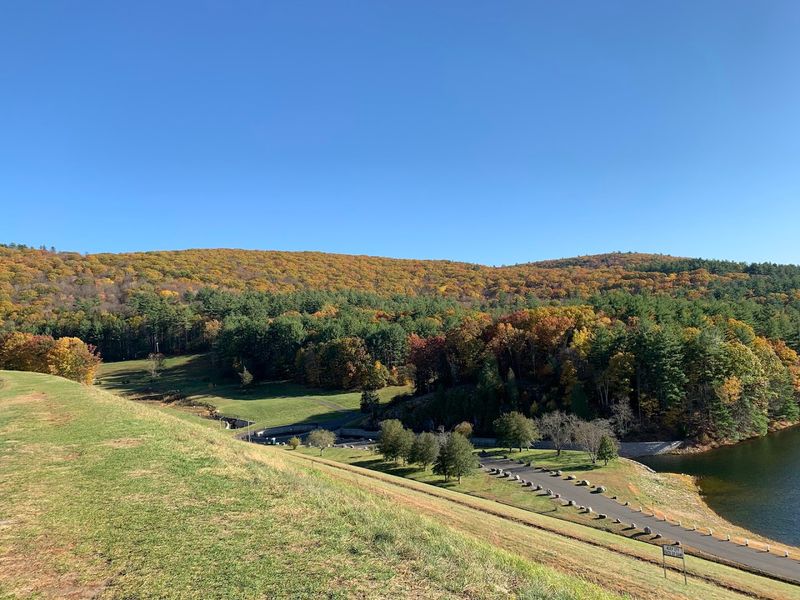 Historic Roots Hidden in the Woods