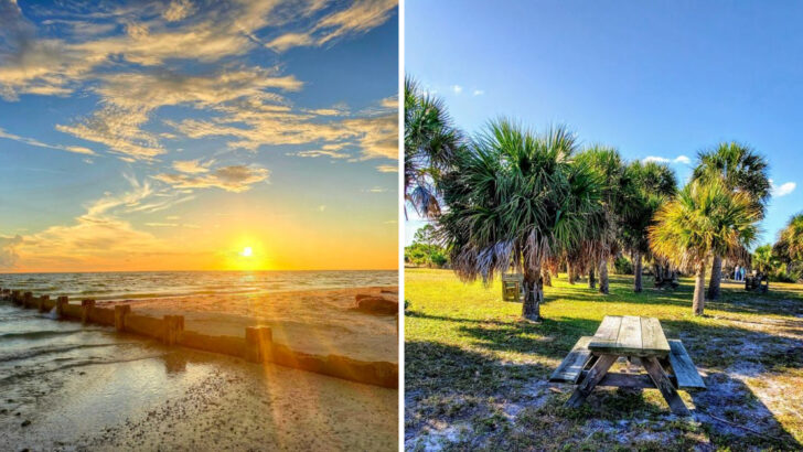 A Pristine Florida Island Off the Gulf Coast Has Pine Forests, Clear Water, and Some of the Best Birdwatching in the State
