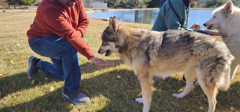 Essential Visitor Information for Planning Your Trip