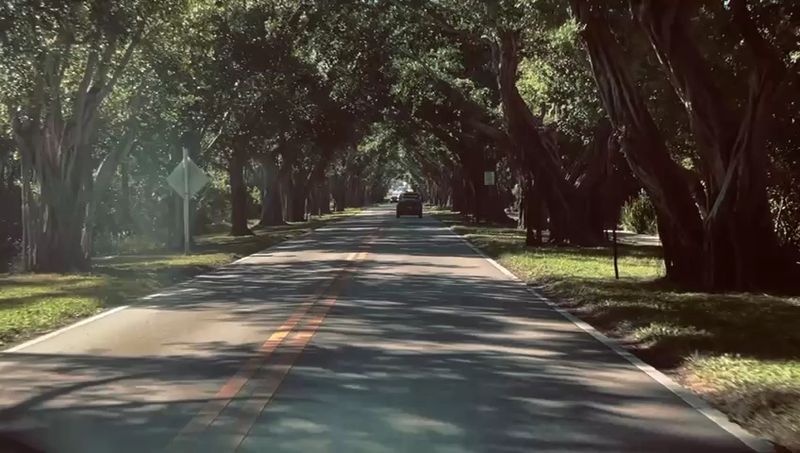 A Photographer's Dream Spot